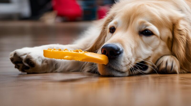 can dogs eat nylabones