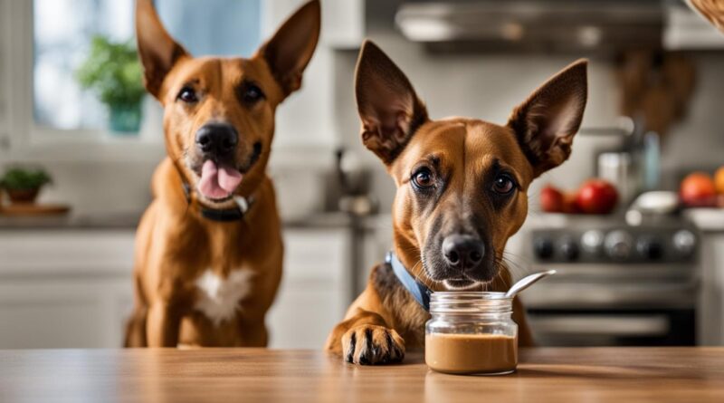 can dogs eat skippy peanut butter
