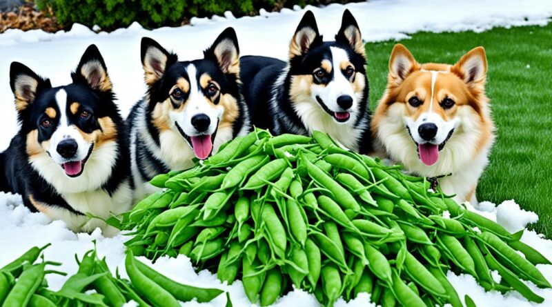 can dogs eat snow peas
