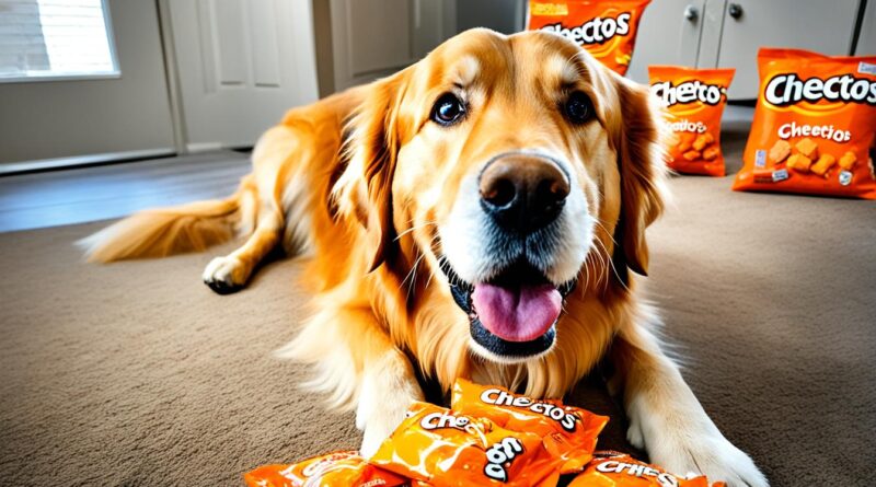can dogs have cheetos