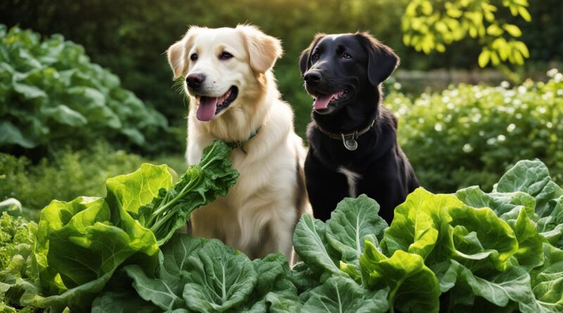can dogs have collard greens