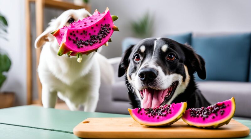 can dogs have dragonfruit