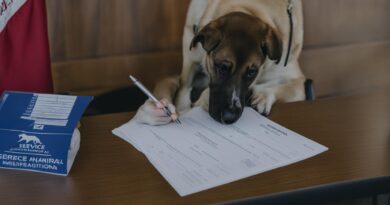 how to get a dog registered as a service dog