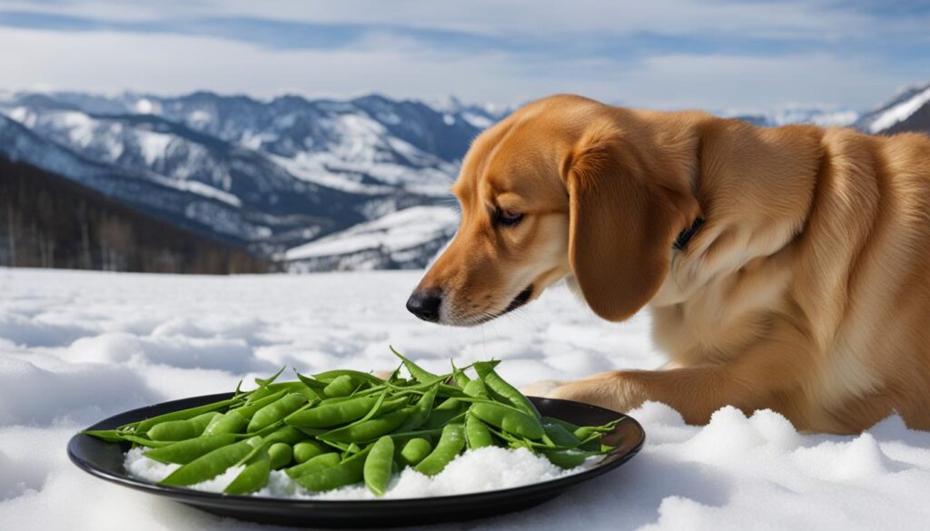 precautions when feeding peas to dogs